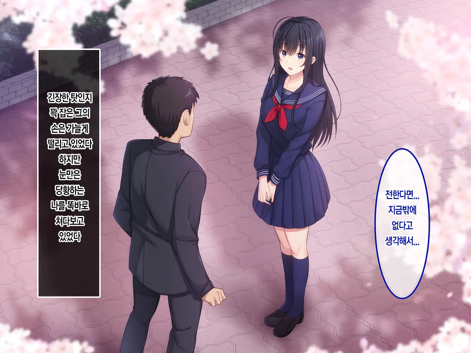Hatsukoi No Hito ~Honoka~ | 첫사랑 ~호노카~